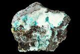 Aurichalcite and Calcite Association - Hidden Treasure Mine #146195-1